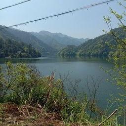 爆料罗村水库最新消息,揭秘水质改善与生态保护新进展